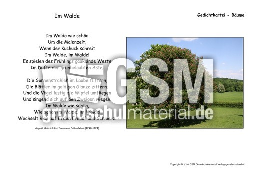 Im Walde-Eichendorff.pdf